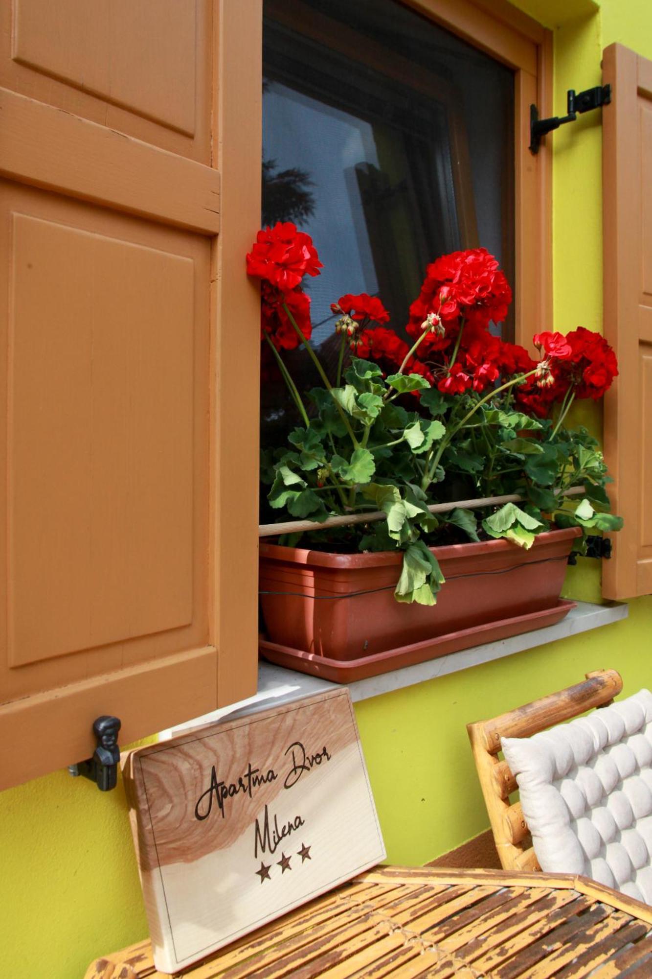 Apartma Dvor Milena ボヴェツ エクステリア 写真